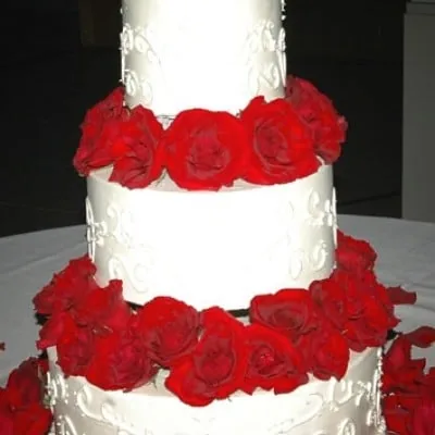 Red roses on white